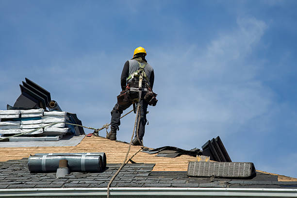 Professional Roof Replacement technician working in Wyanet, IL